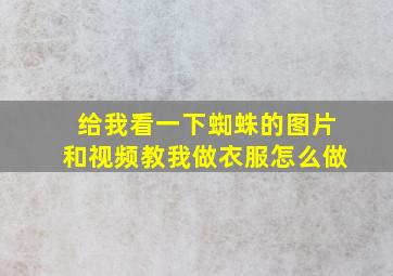 给我看一下蜘蛛的图片和视频教我做衣服怎么做