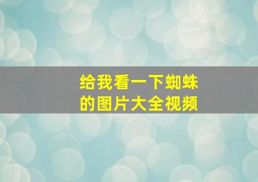 给我看一下蜘蛛的图片大全视频