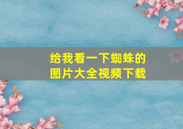 给我看一下蜘蛛的图片大全视频下载