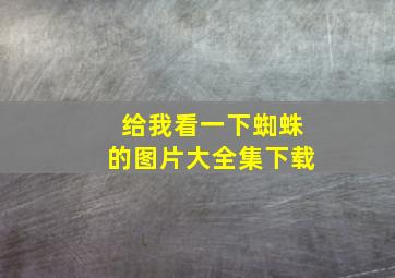 给我看一下蜘蛛的图片大全集下载