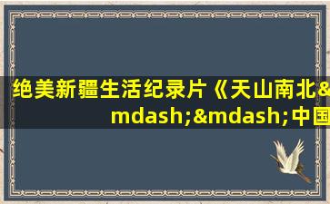 绝美新疆生活纪录片《天山南北——中国新疆生活纪实》