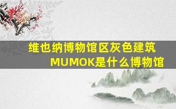 维也纳博物馆区灰色建筑MUMOK是什么博物馆