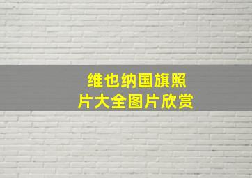 维也纳国旗照片大全图片欣赏