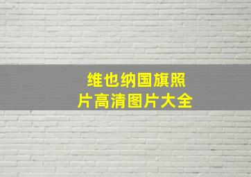 维也纳国旗照片高清图片大全