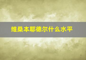 维桑本耶德尔什么水平