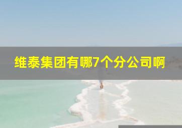 维泰集团有哪7个分公司啊