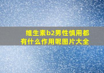 维生素b2男性慎用都有什么作用呢图片大全