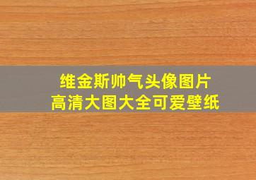 维金斯帅气头像图片高清大图大全可爱壁纸