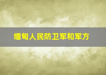 缅甸人民防卫军和军方