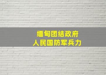 缅甸团结政府人民国防军兵力