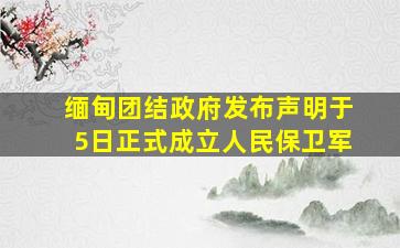 缅甸团结政府发布声明于5日正式成立人民保卫军