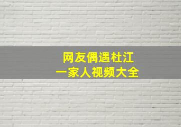 网友偶遇杜江一家人视频大全