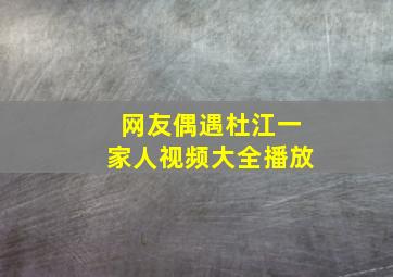 网友偶遇杜江一家人视频大全播放