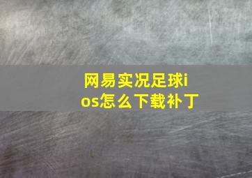 网易实况足球ios怎么下载补丁