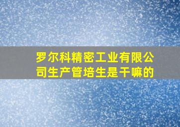 罗尔科精密工业有限公司生产管培生是干嘛的