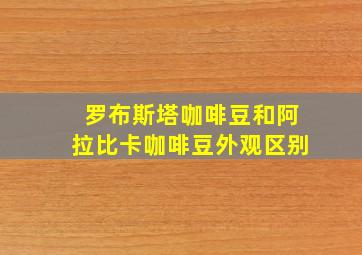 罗布斯塔咖啡豆和阿拉比卡咖啡豆外观区别