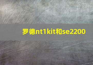 罗德nt1kit和se2200