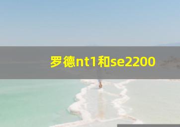 罗德nt1和se2200