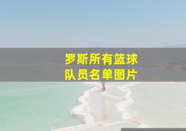 罗斯所有篮球队员名单图片