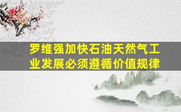 罗维强加快石油天然气工业发展必须遵循价值规律