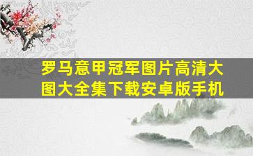 罗马意甲冠军图片高清大图大全集下载安卓版手机