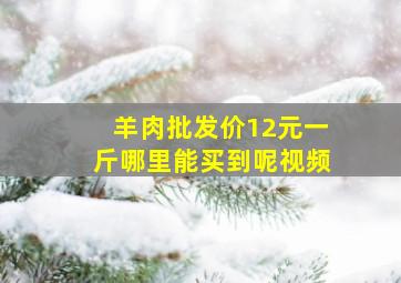 羊肉批发价12元一斤哪里能买到呢视频