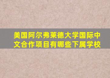 美国阿尔弗莱德大学国际中文合作项目有哪些下属学校