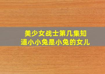 美少女战士第几集知道小小兔是小兔的女儿