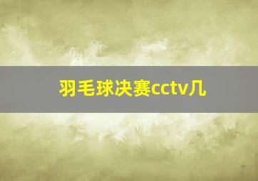 羽毛球决赛cctv几