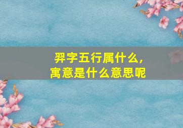 羿字五行属什么,寓意是什么意思呢