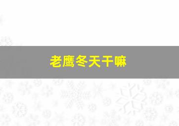 老鹰冬天干嘛