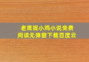 老鹰捉小鸡小说免费阅读无弹窗下载百度云