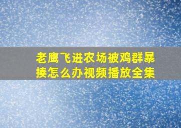 老鹰飞进农场被鸡群暴揍怎么办视频播放全集