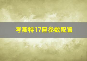 考斯特17座参数配置