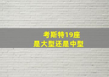 考斯特19座是大型还是中型