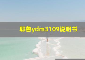 耶鲁ydm3109说明书