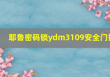 耶鲁密码锁ydm3109安全门把