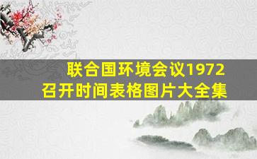 联合国环境会议1972召开时间表格图片大全集