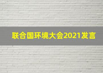 联合国环境大会2021发言