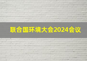 联合国环境大会2024会议