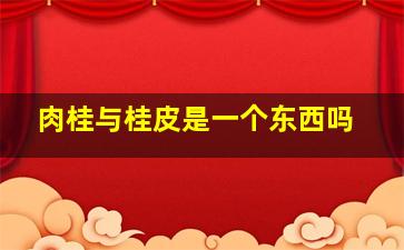 肉桂与桂皮是一个东西吗