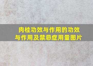 肉桂功效与作用的功效与作用及禁忌症用量图片