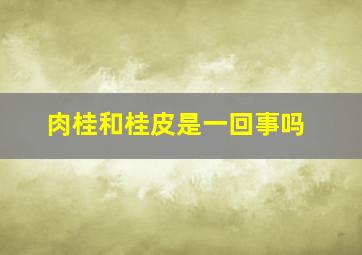 肉桂和桂皮是一回事吗