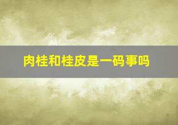 肉桂和桂皮是一码事吗