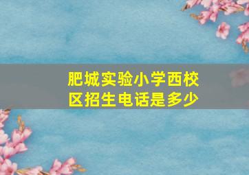 肥城实验小学西校区招生电话是多少