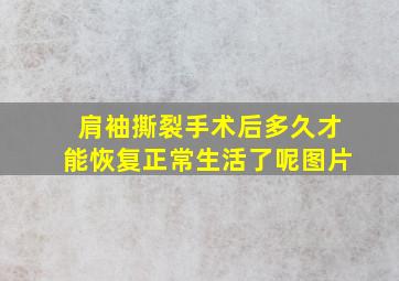 肩袖撕裂手术后多久才能恢复正常生活了呢图片