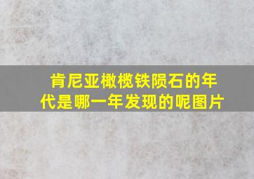 肯尼亚橄榄铁陨石的年代是哪一年发现的呢图片