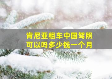 肯尼亚租车中国驾照可以吗多少钱一个月