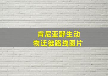 肯尼亚野生动物迁徙路线图片