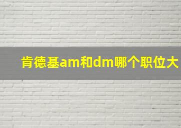 肯德基am和dm哪个职位大